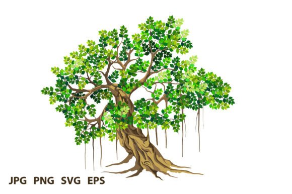 Banyan Tree: Graphics for Creative Design