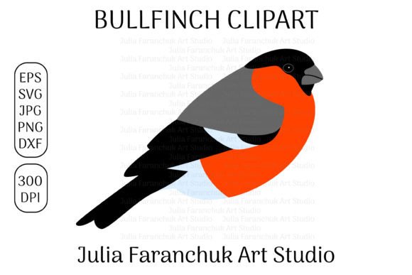 Bullfinch Clipart: Graphics for Local Branding