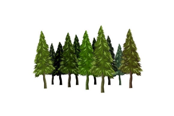 Pine Forest Tree Graphics and Illustrations
