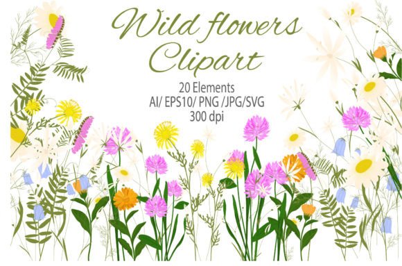 Wild Flowers Clipart PNG: Graphics for Creative Branding